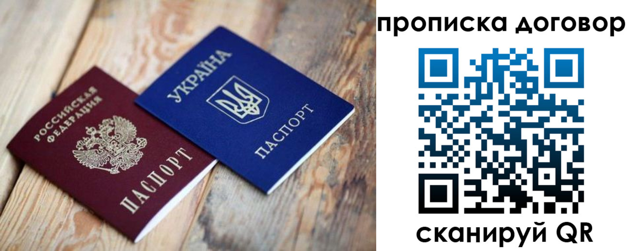 прописка для школы в Фрязино